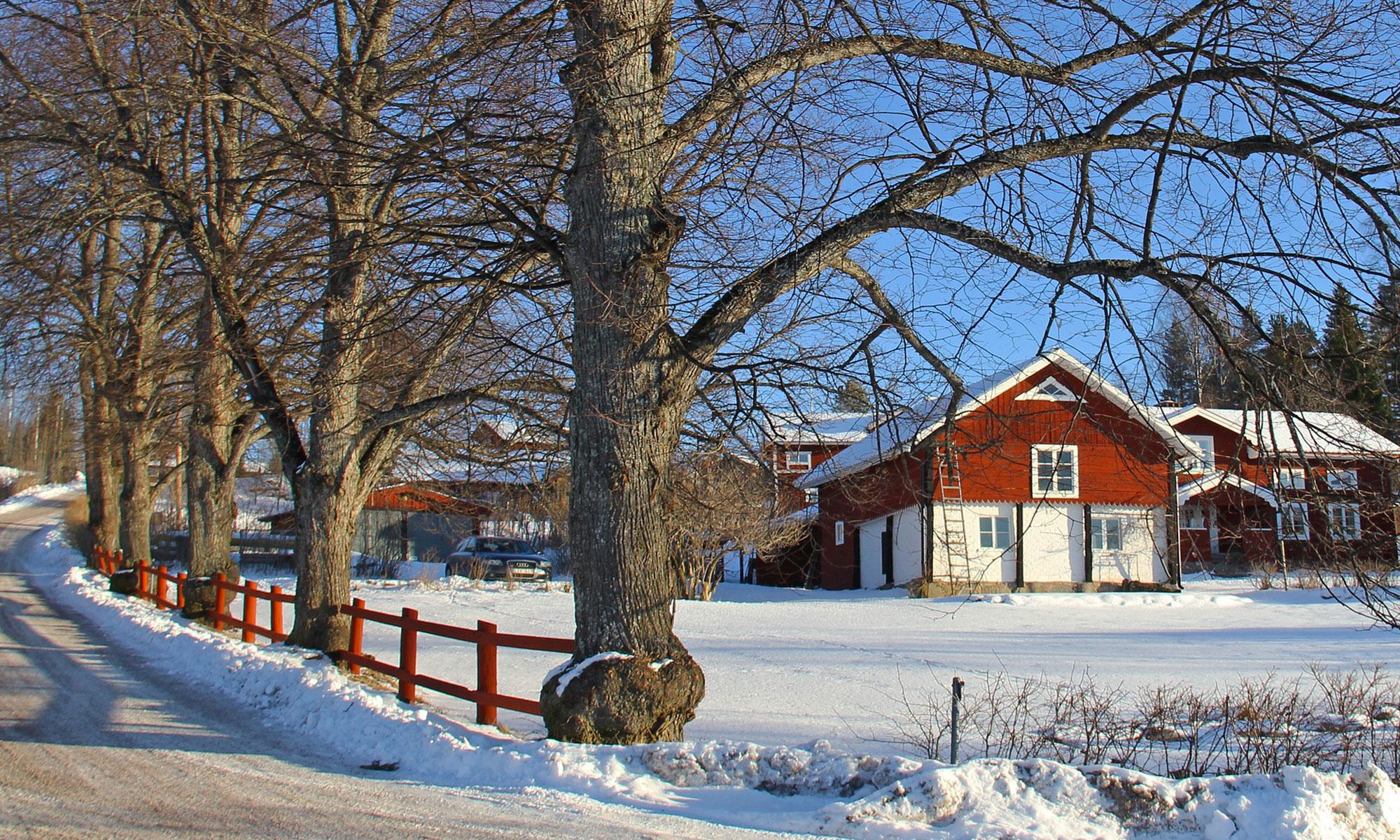 A red house in winterlandscape